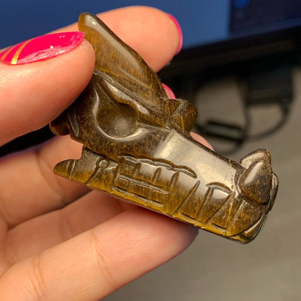 Tigers eye dragon head